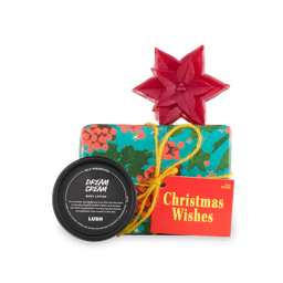 Christmas Wishes. An off-square gift box wrapped in teal paper decorated with red berry & leaf designs, tied with yellow twine and a gift tag. Two products, including a soap and a pot of body lotion, sit around the box. 