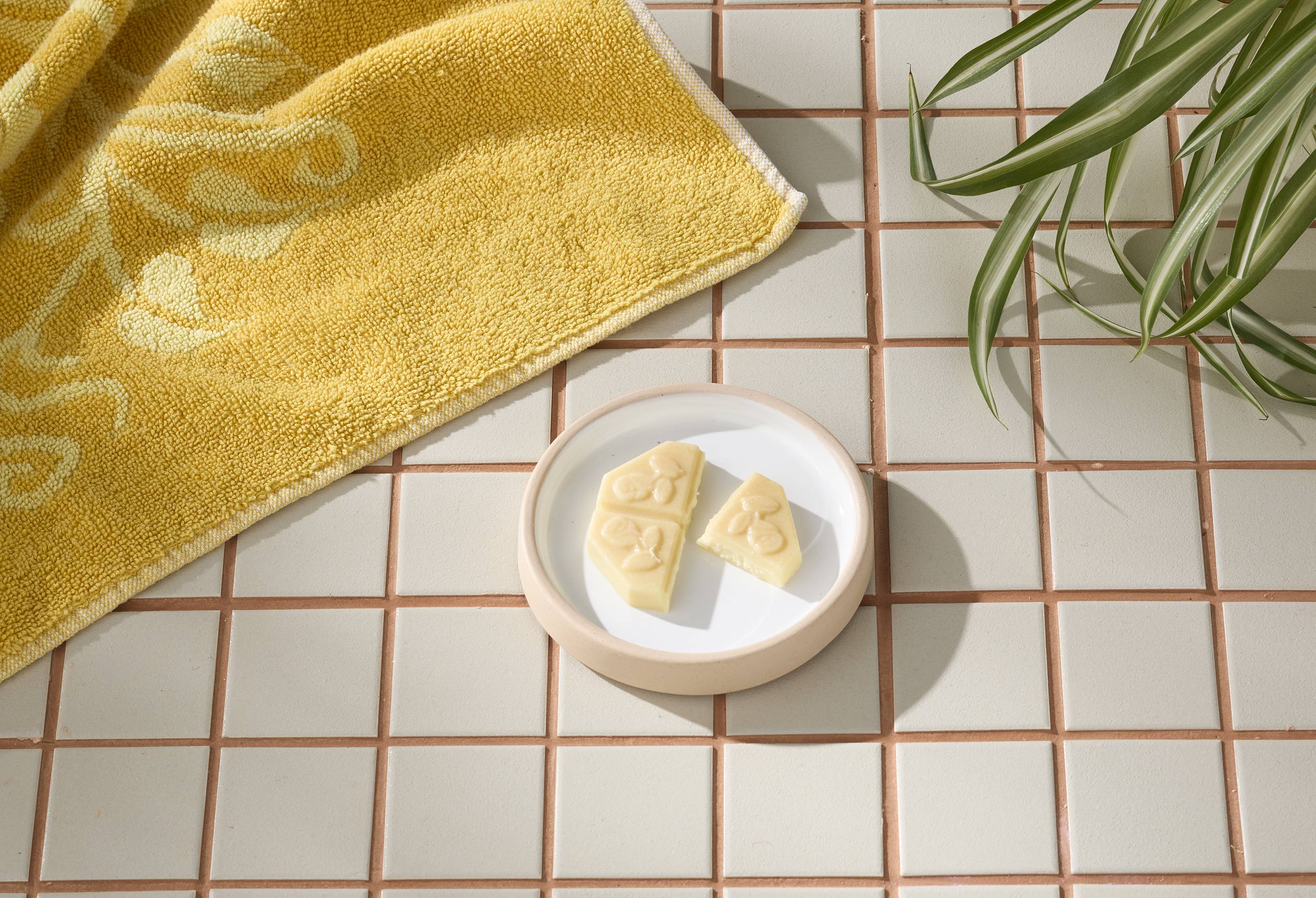 Circular Dish