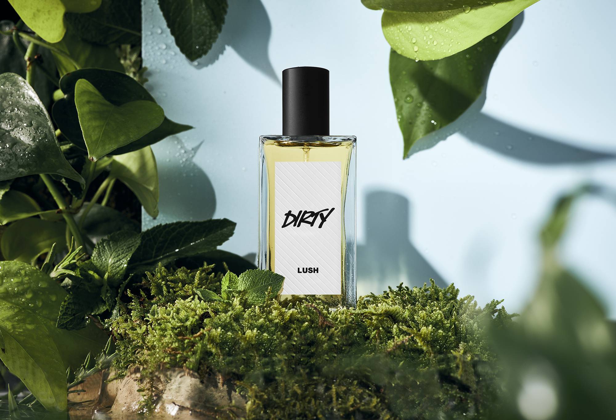 Dirty perfume is placed on green grass. Green leaves with water droplets are draped in the corners on a blue backdrop.