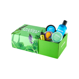 Lush Kitchen Shower Box