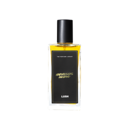 A glass perfume bottle filled with a light amber liquid. A black label reads 'The Perfume Library' and 'Hairdresser's Husband'.