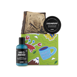 Happy Camper. A square gift box with a green base colour and illustrations such as a mug, leaves, a crab, clouds and a mountain. Three LUSH products sit around the gift box, including a shower gel, soap slice and pot of facial wash.