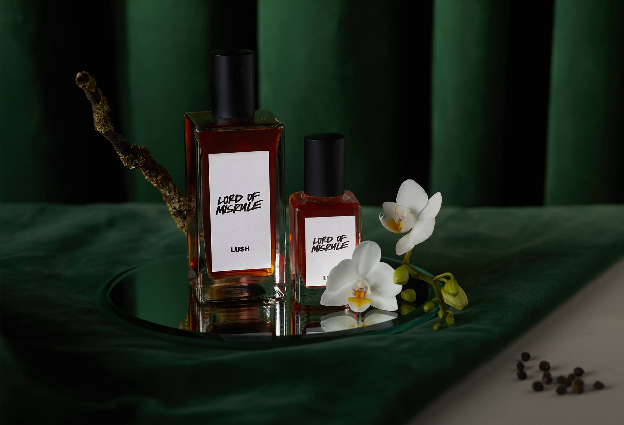 Lord Of Misrule