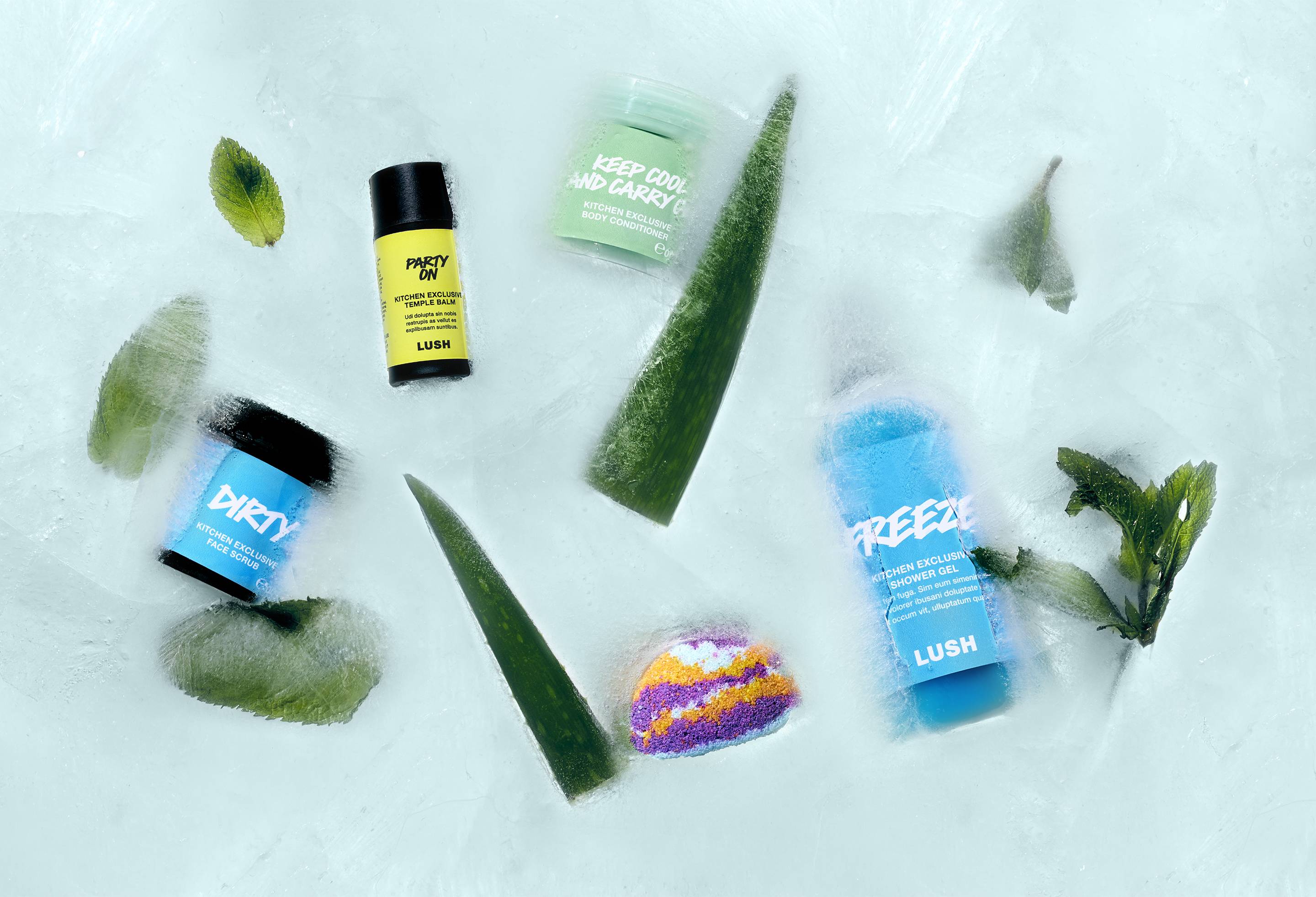Lush Kitchen Shower Box