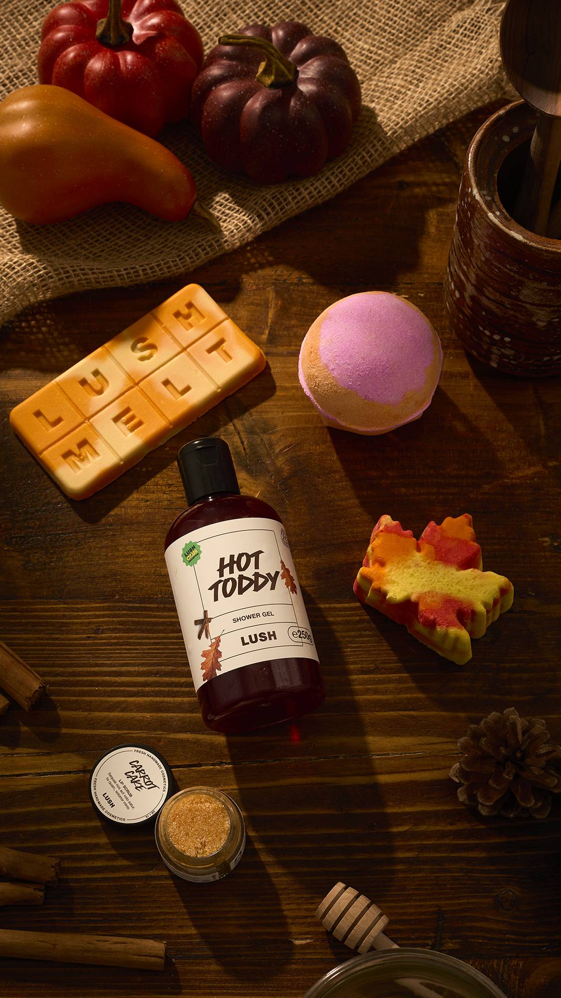 Lush Club Subscription Box