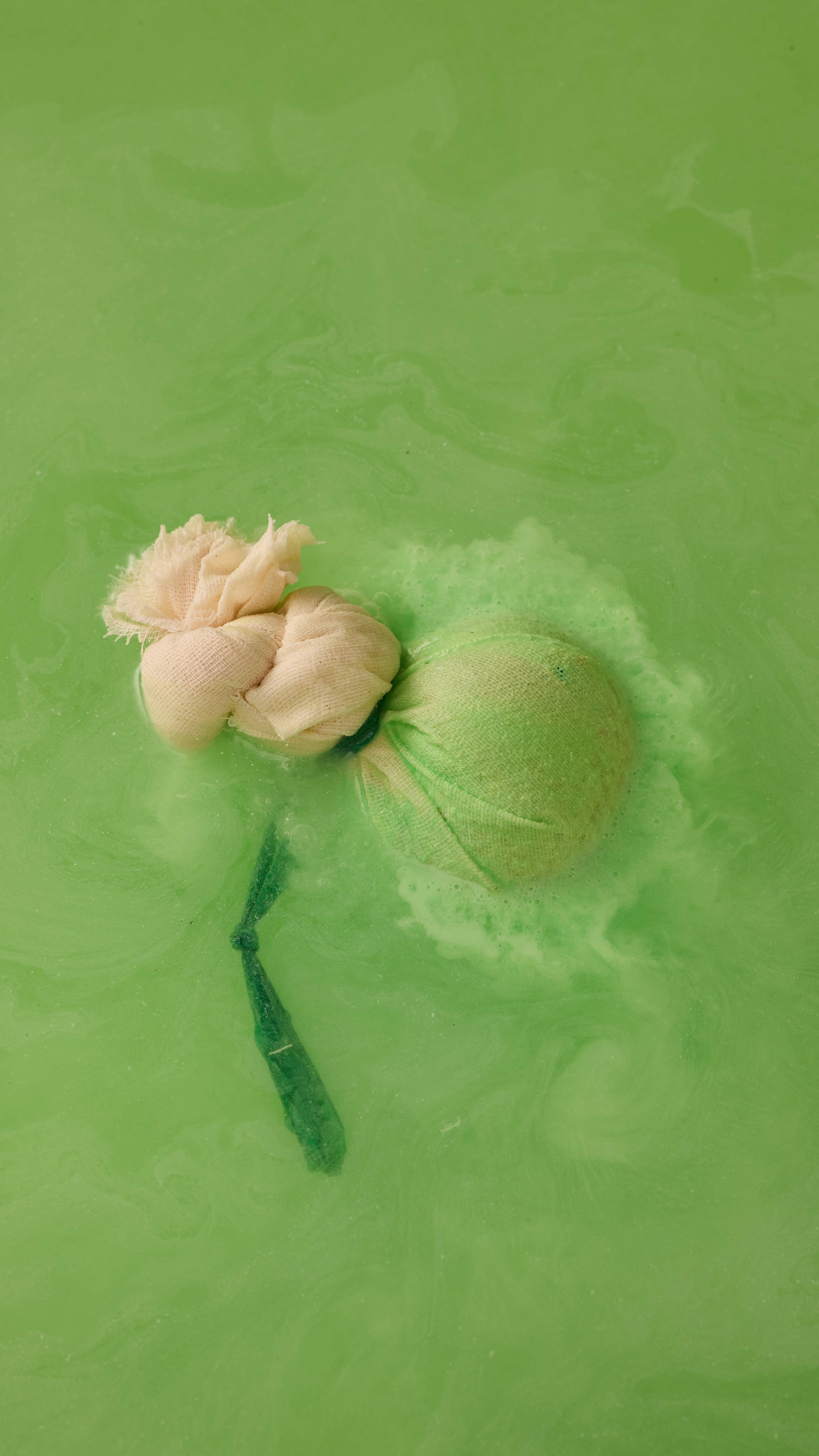 The Woodstock bath bomb is sitting in the bath as we see the deep green from the bath bomb inside the muslin seeps out into the water turning it into a sea of forest green.