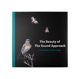 The Beauty of the Sound Approach