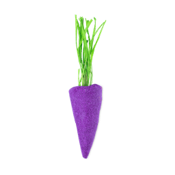 Baby Rainbow Carrot - Fialová