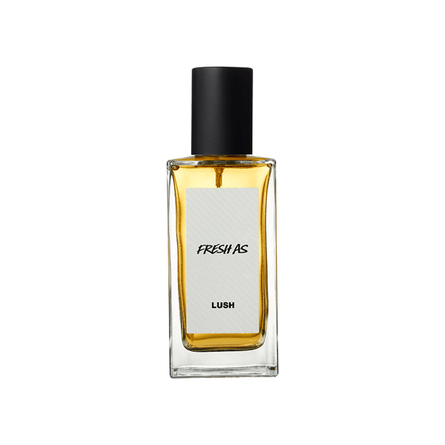 クルエルティフリー香水 | LUSH