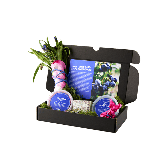 The Art of Christmas Bathing | Gift | LUSH