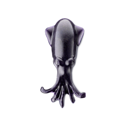 Squid